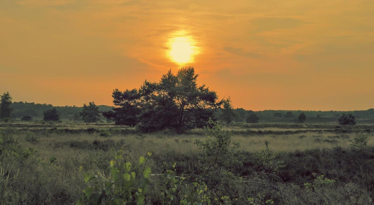 Lodge Goudvink Nunspeet Veluwe Экстерьер фото