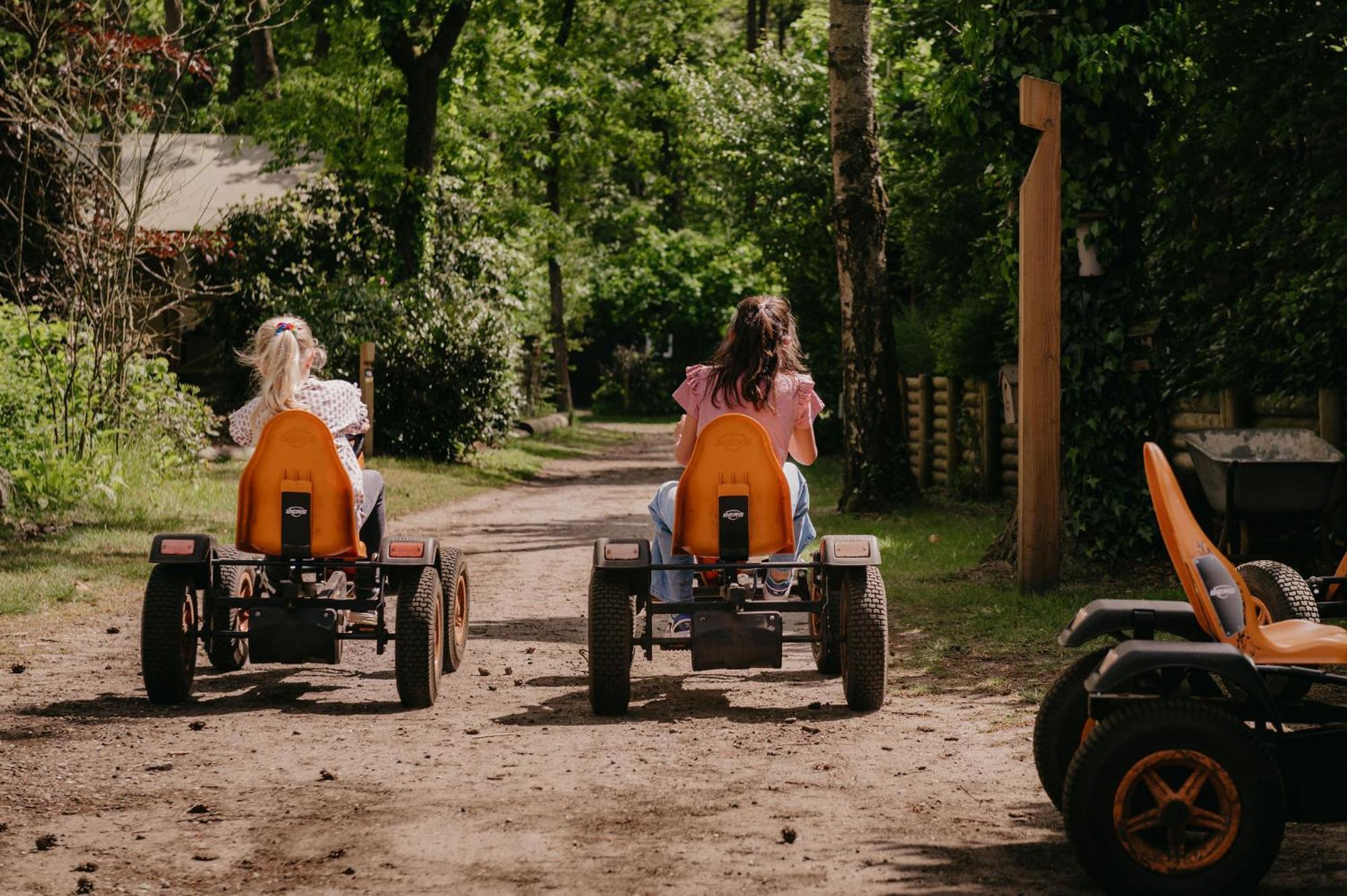 Lodge Goudvink Nunspeet Veluwe Экстерьер фото