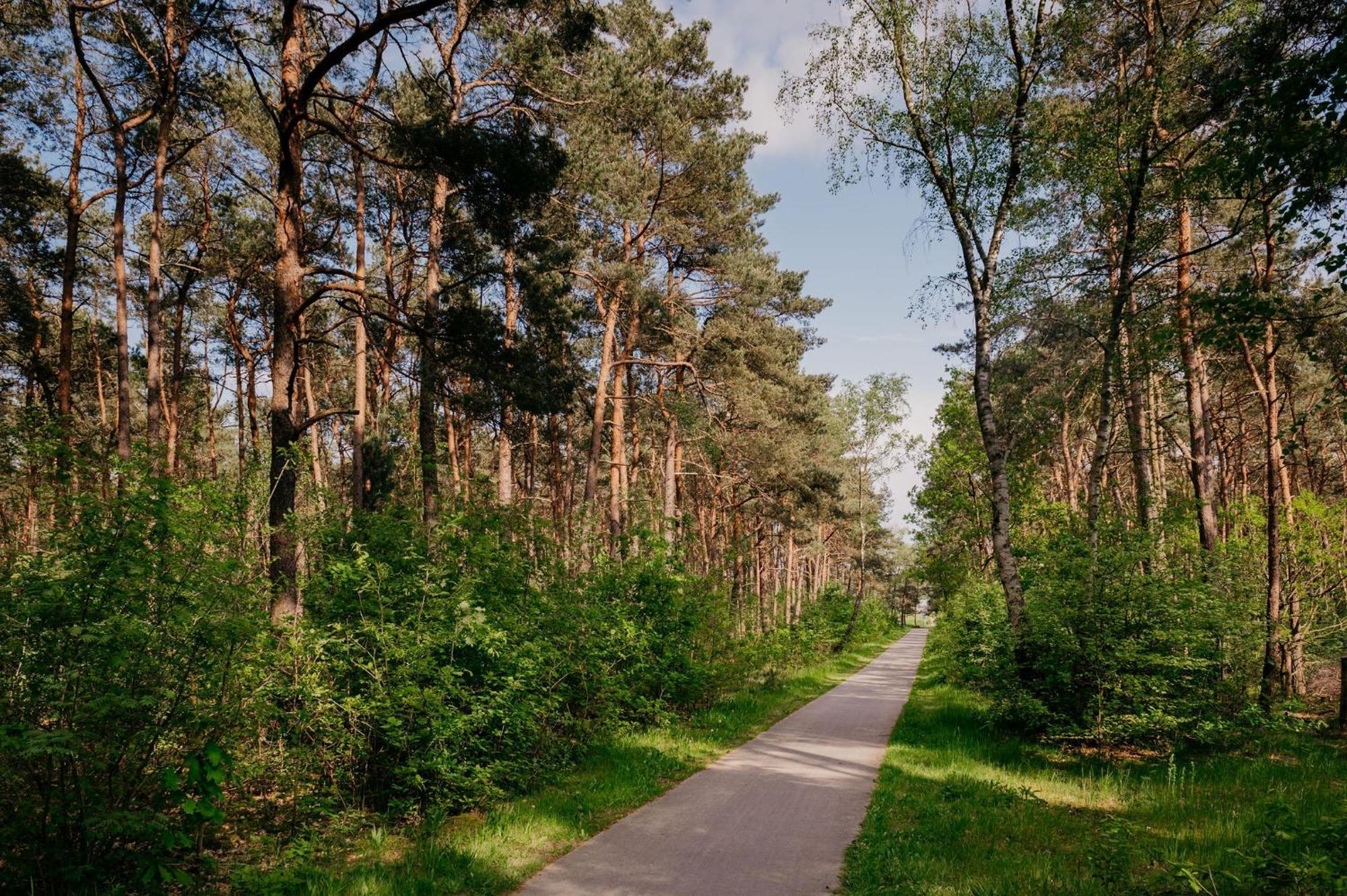 Lodge Goudvink Nunspeet Veluwe Экстерьер фото